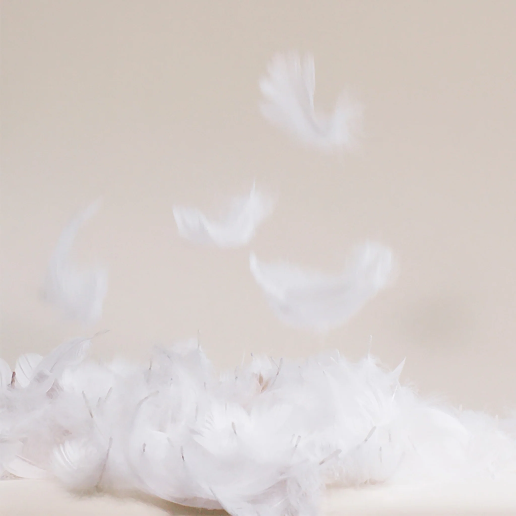 Pillows - Image 8