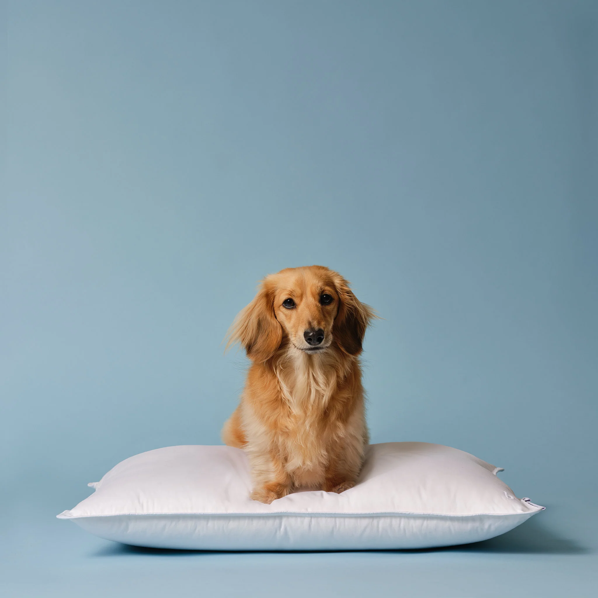 Down Alternative Pillow - Image 6