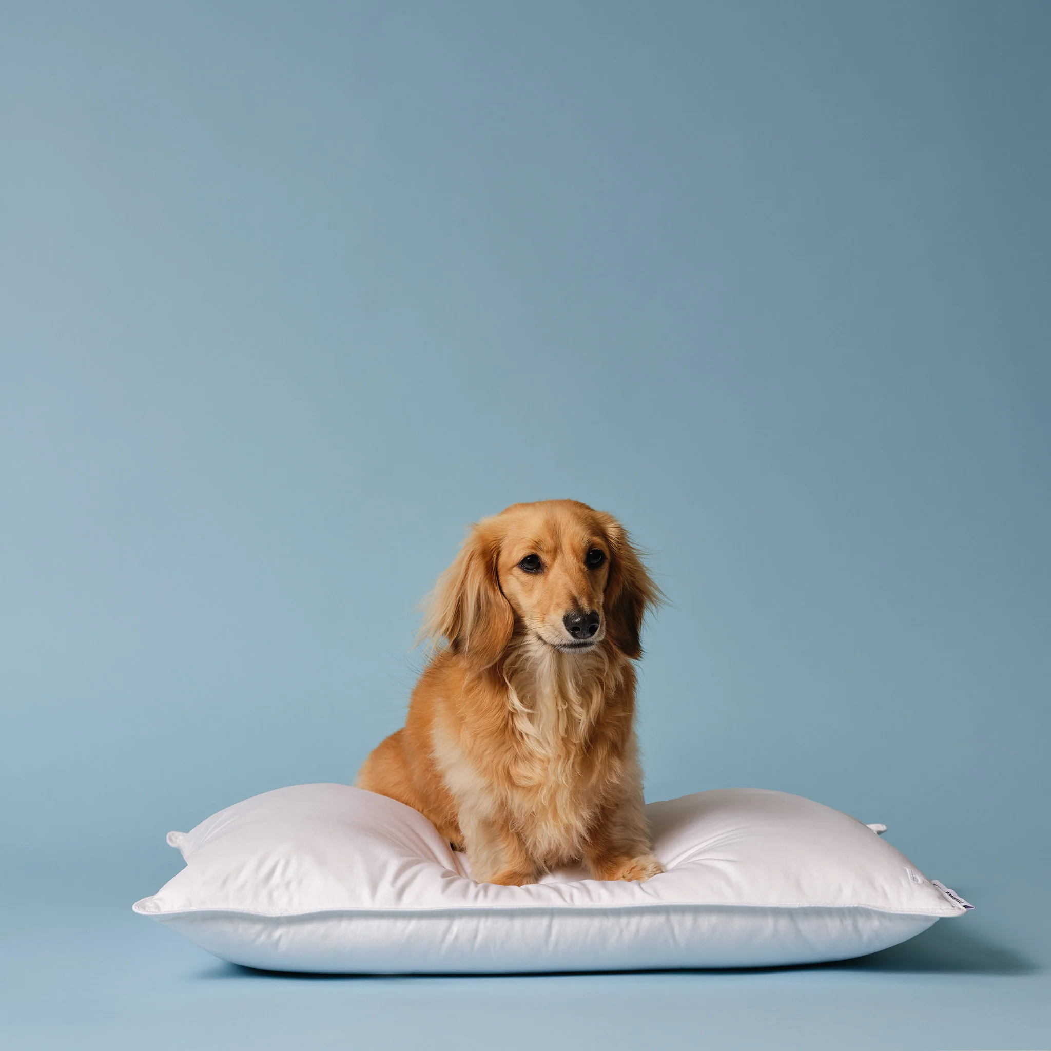 Down Alternative Pillow - Image 7