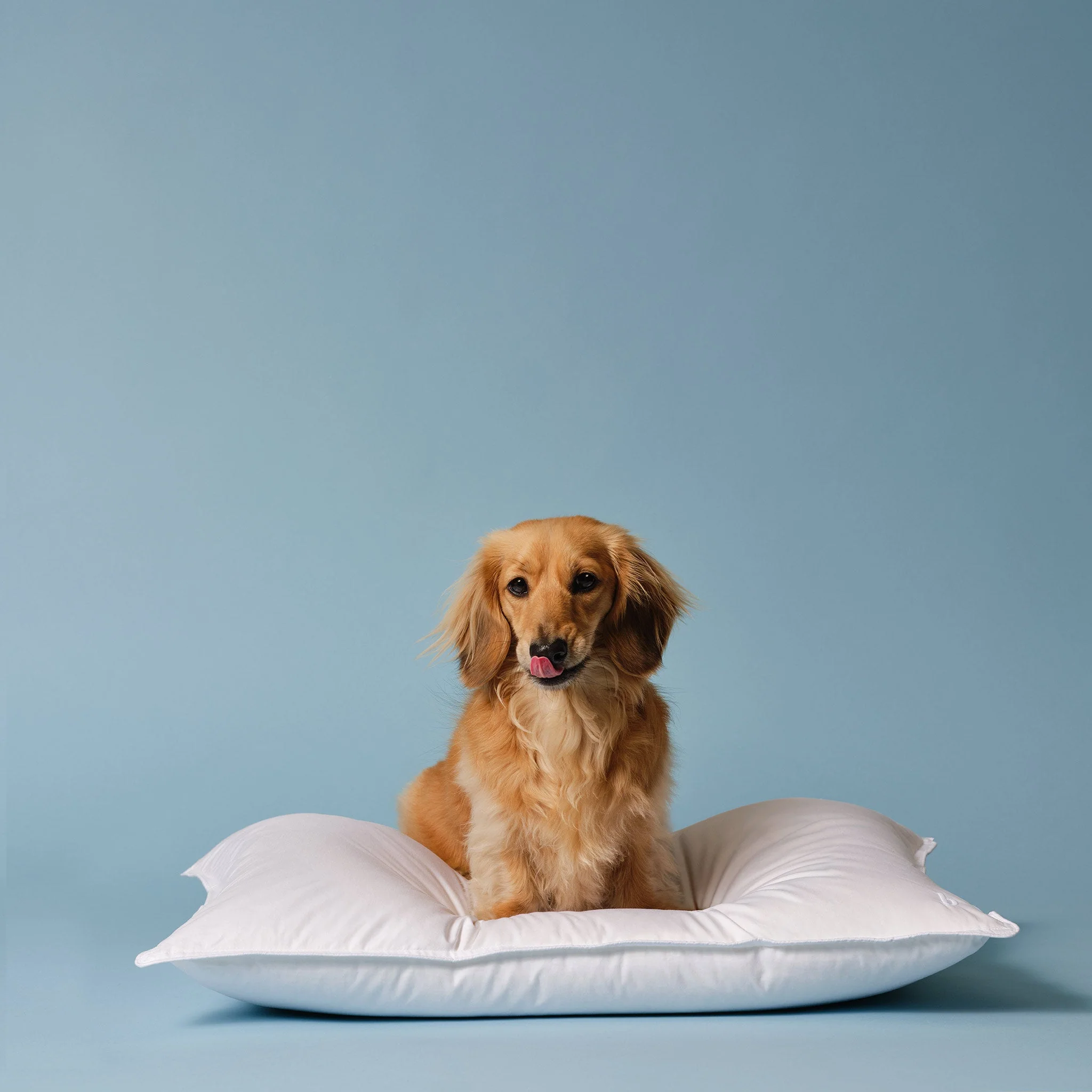 Down Pillow - Image 4