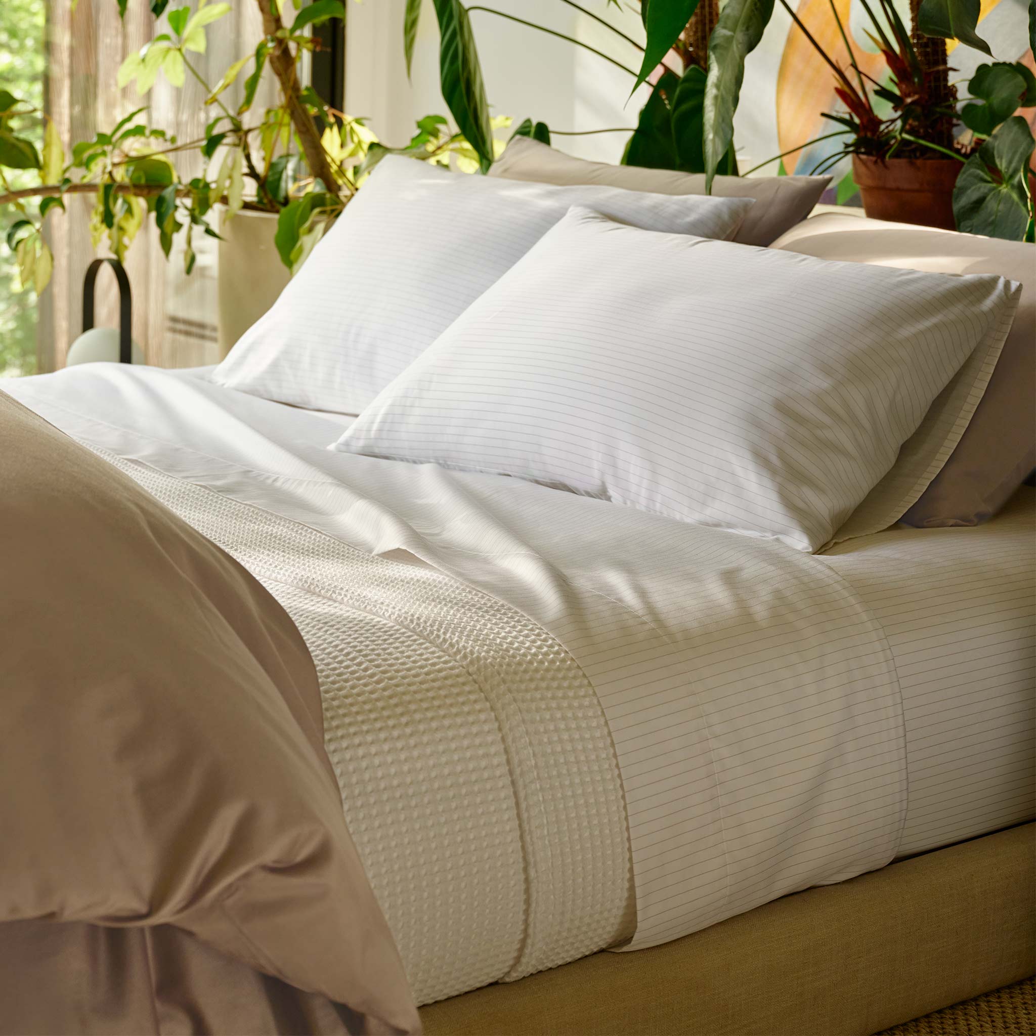 Luxe Sateen Core Sheet Set - Last Call - Image 124