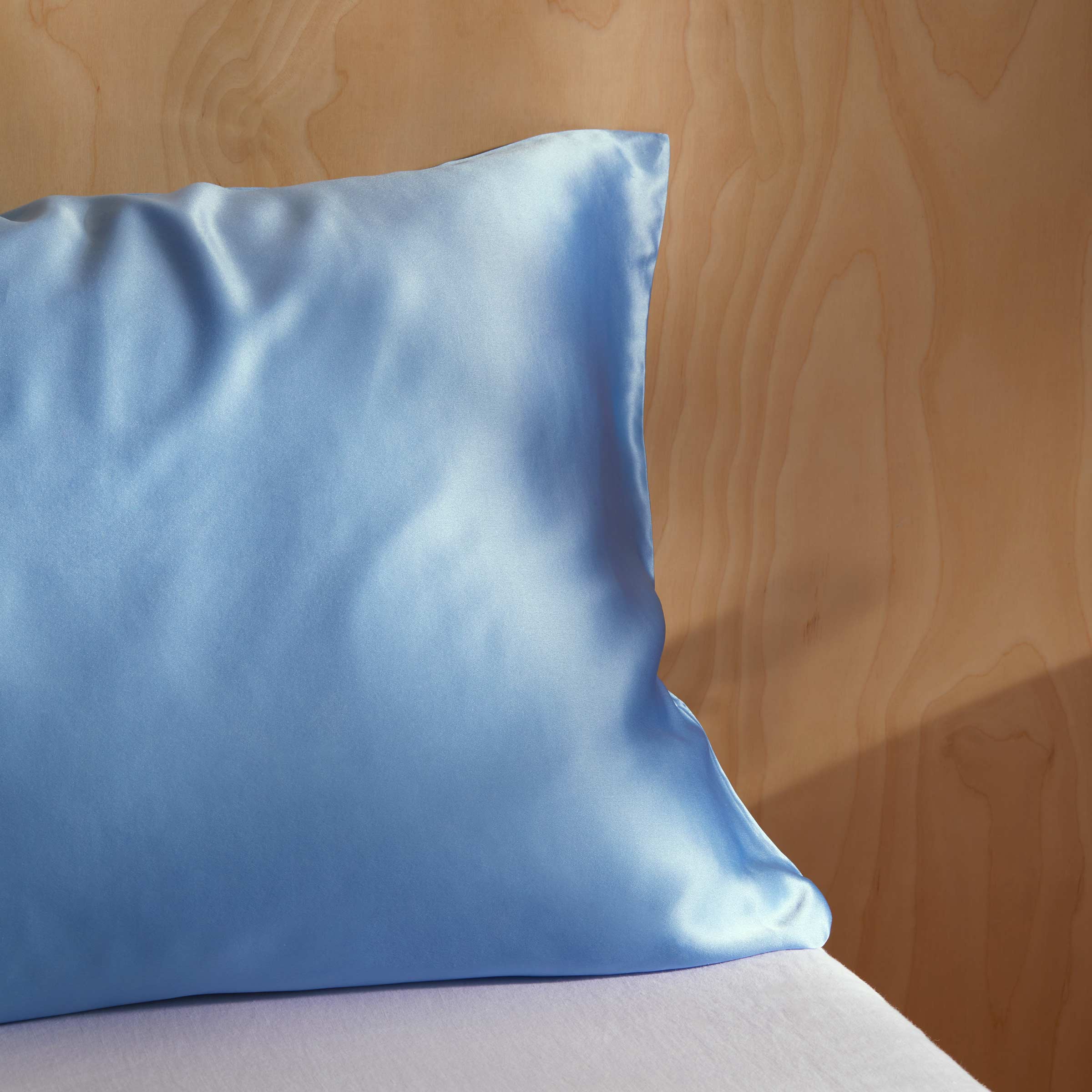 Mulberry Silk Pillowcase - Image 32