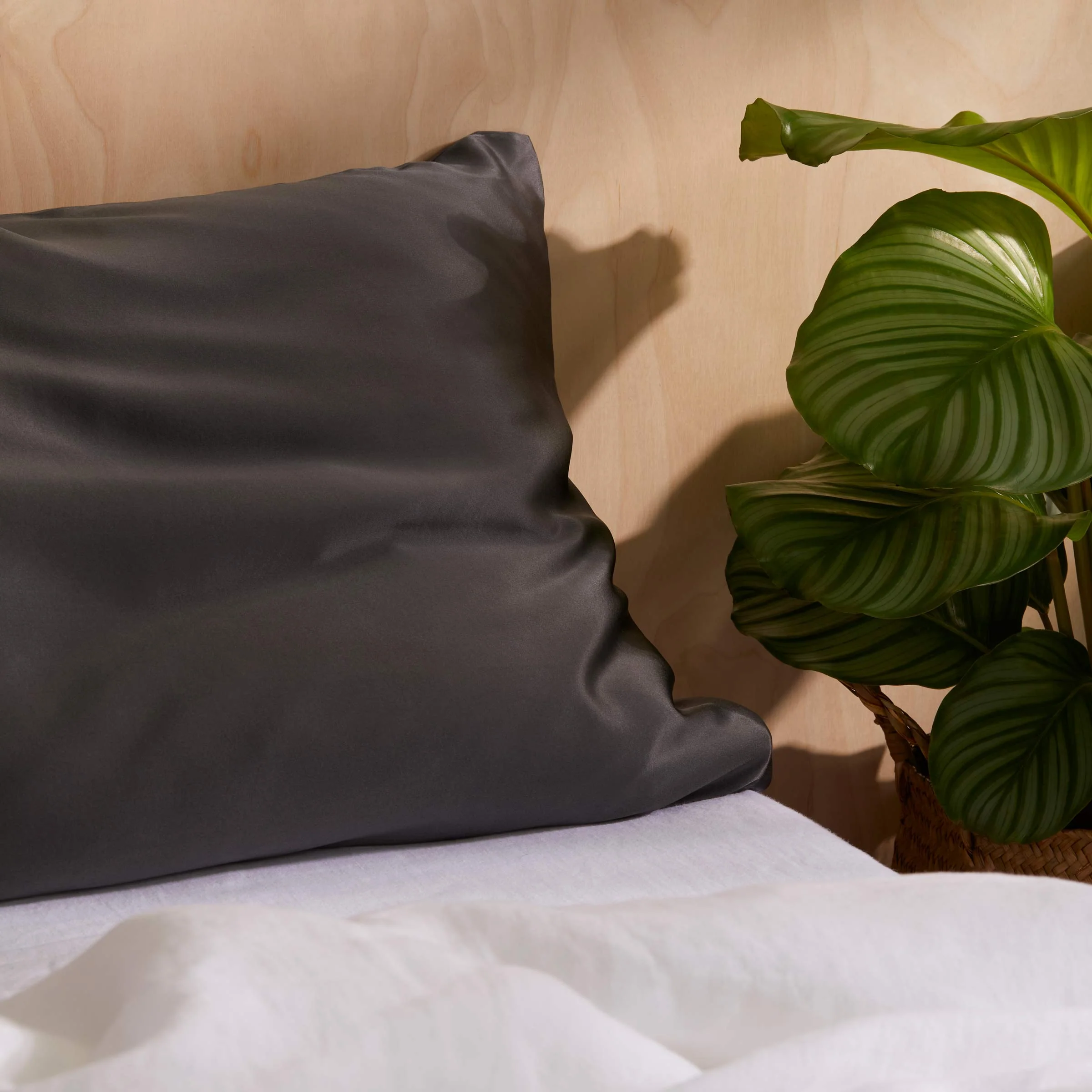 Mulberry Silk Pillowcase - Image 36