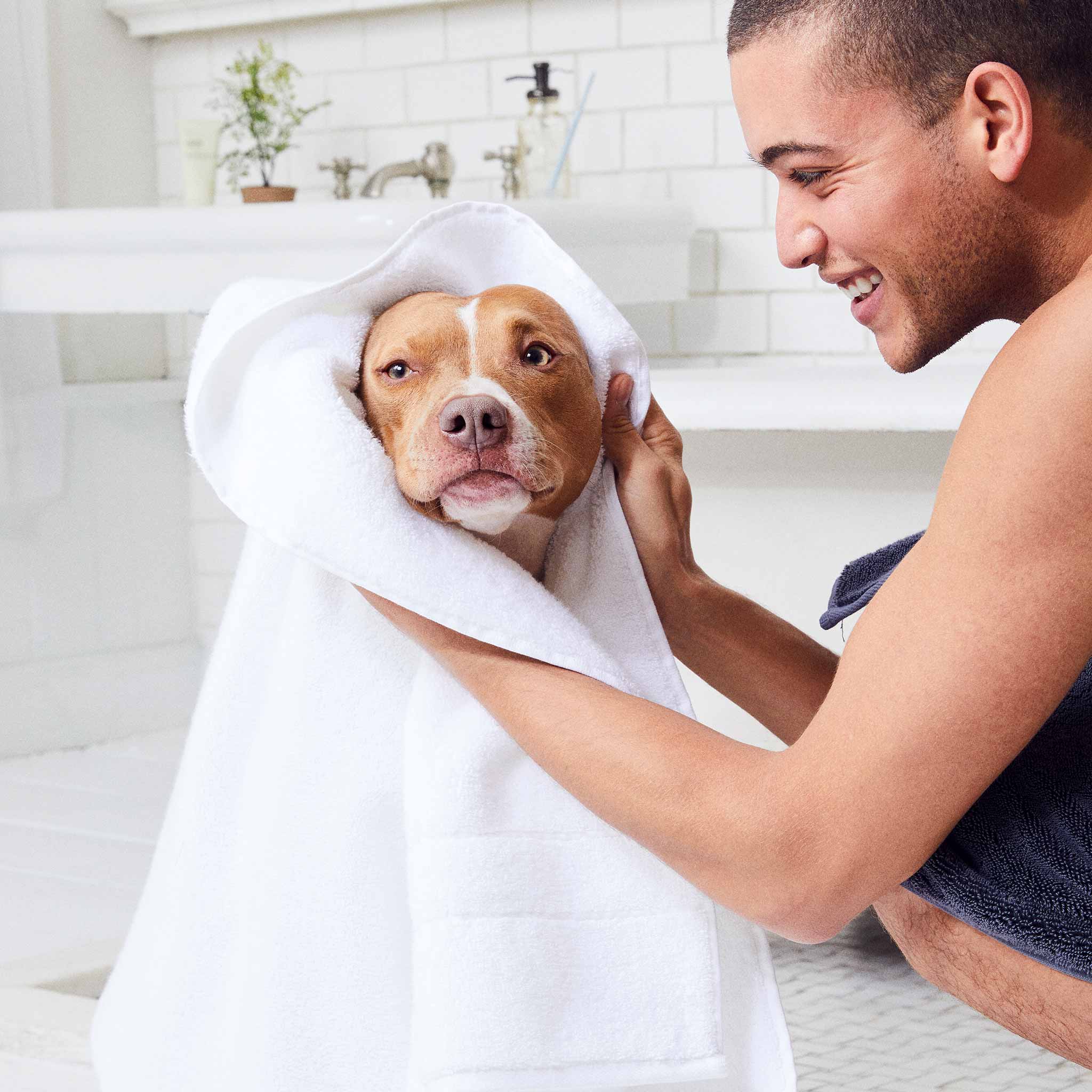 Rewards Super-Plush Hand Towels Set of 2 - Image 20