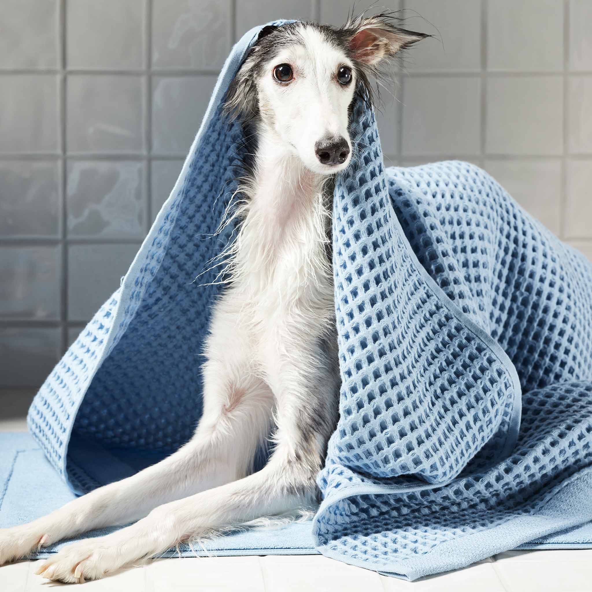 Dreamweave Waffle Towel Move-In Bundle - Image 13